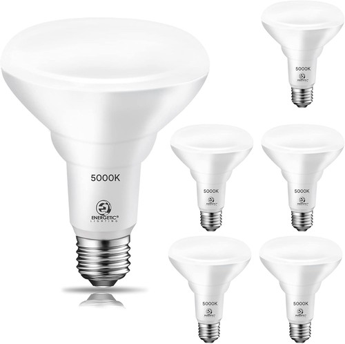 Energetic led flood - 12,